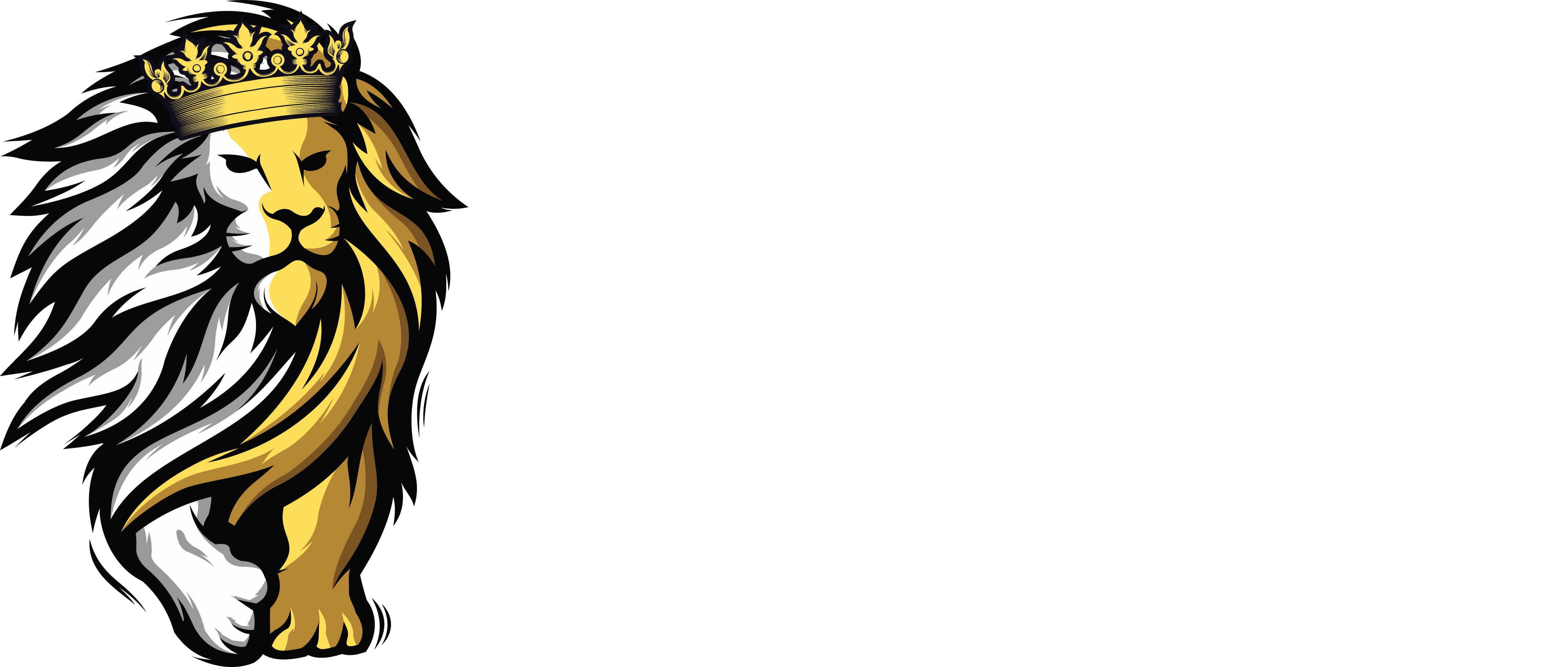 MMA Investing Club
